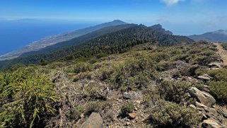 Pico de La Nieve 2236 m - La Palma La Palma 2024