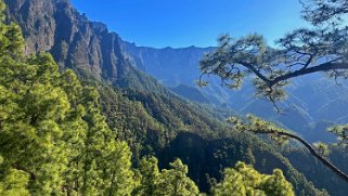 Parc national de la Caldeira de Taburiente - La Palma La Palma 2024