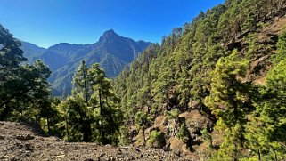 Parc national de la Caldeira de Taburiente - La Palma La Palma 2024