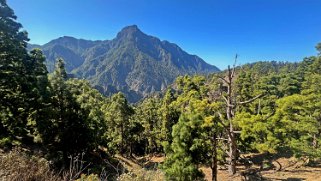 Parc national de la Caldeira de Taburiente - La Palma La Palma 2024