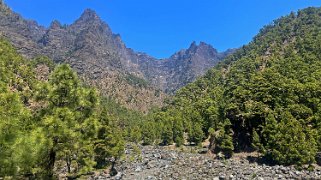 Parc national de la Caldeira de Taburiente - La Palma La Palma 2024