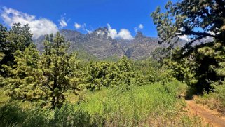 Parc national de la Caldeira de Taburiente - La Palma La Palma 2024