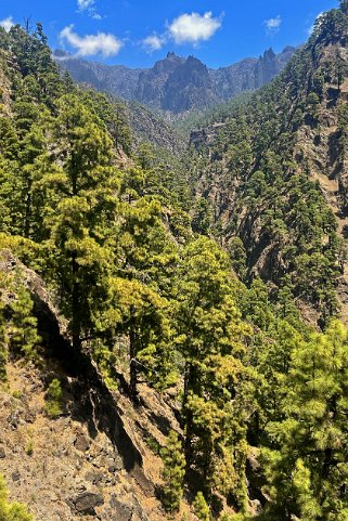 Parc national de la Caldeira de Taburiente - La Palma La Palma 2024