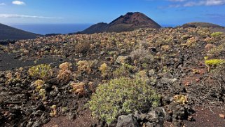 Volcan de Teneguia 428 m - La Palma La Palma 2024