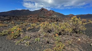 Volcan de Teneguia 428 m - La Palma La Palma 2024