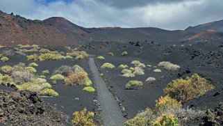 Camino Natural de La Palma - La Palma La Palma 2024