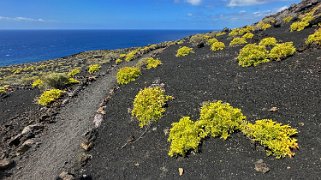 Fuencaliente - La Palma La Palma 2024