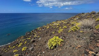 Fuencaliente - La Palma La Palma 2024