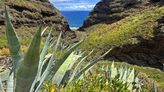 Barranco Hondo de Nogales - La Palma La Palma 2024