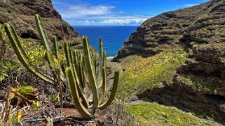 Barranco Hondo de Nogales - La Palma La Palma 2024