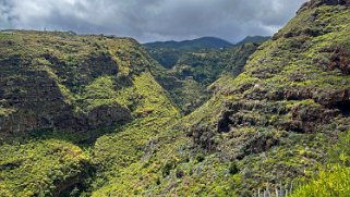 Barranco Hondo de Nogales - La Palma La Palma 2024