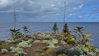 El Charco Azul Piscina Natural - La Palma La Palma 2024