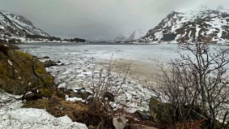 Kongsjordpolen - Lofoten Lofoten 2024