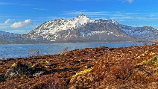 Malnes - Lofoten Lofoten 2024