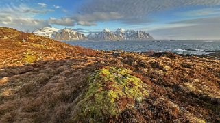 Malnes - Lofoten Lofoten 2024