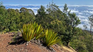 2025 18 Portela - Mosteiros