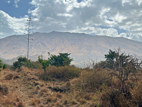 Renque Fogo - Cap-Vert