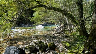 Kamikōchi - Yarigatake null