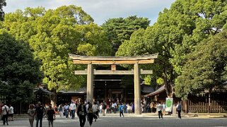 Meiji-jingū - Tokyo Japon 2025