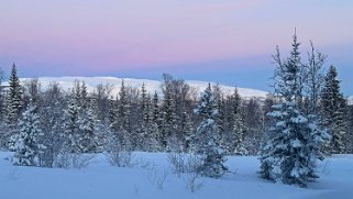 Håkøybotn Norvège 2025