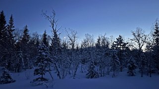 Håkøybotn Norvège 2025