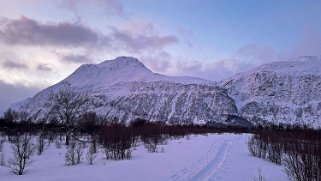 Lyngseidet Norvège 2025