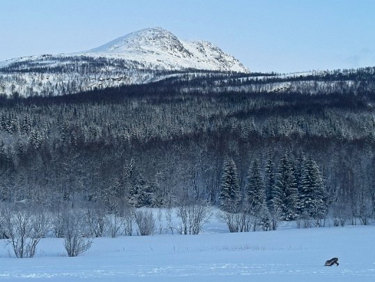 Moen Troms - Norvège