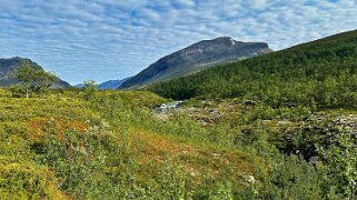 Kaitumjaure - Singi null
