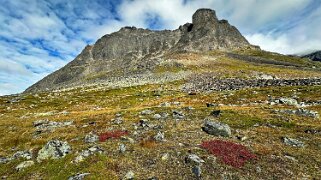 Nallostugan - Vistasstugan null