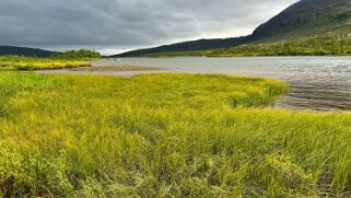 Abiskojaure - Abisko null
