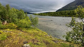 Abiskojaure - Abisko null