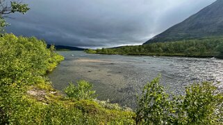 Abiskojaure - Abisko null
