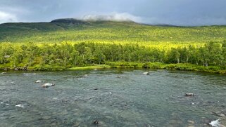 Abiskojaure - Abisko null