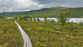 Abiskojaure - Abisko null