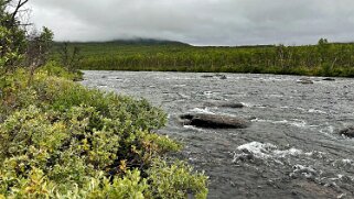Abiskojaure - Abisko null