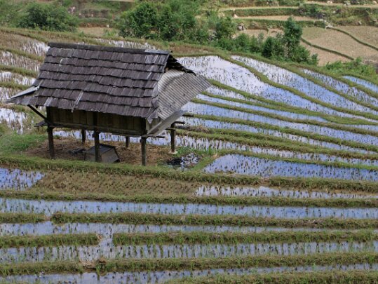 Vietnam 2019 Vietnam