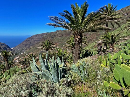 La Gomera 2023 Canaries - Espagne