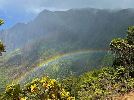 Hawaii 2024 Etats-Unis